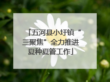 五河县小圩镇“三聚焦”全力推进夏种夏管工作
